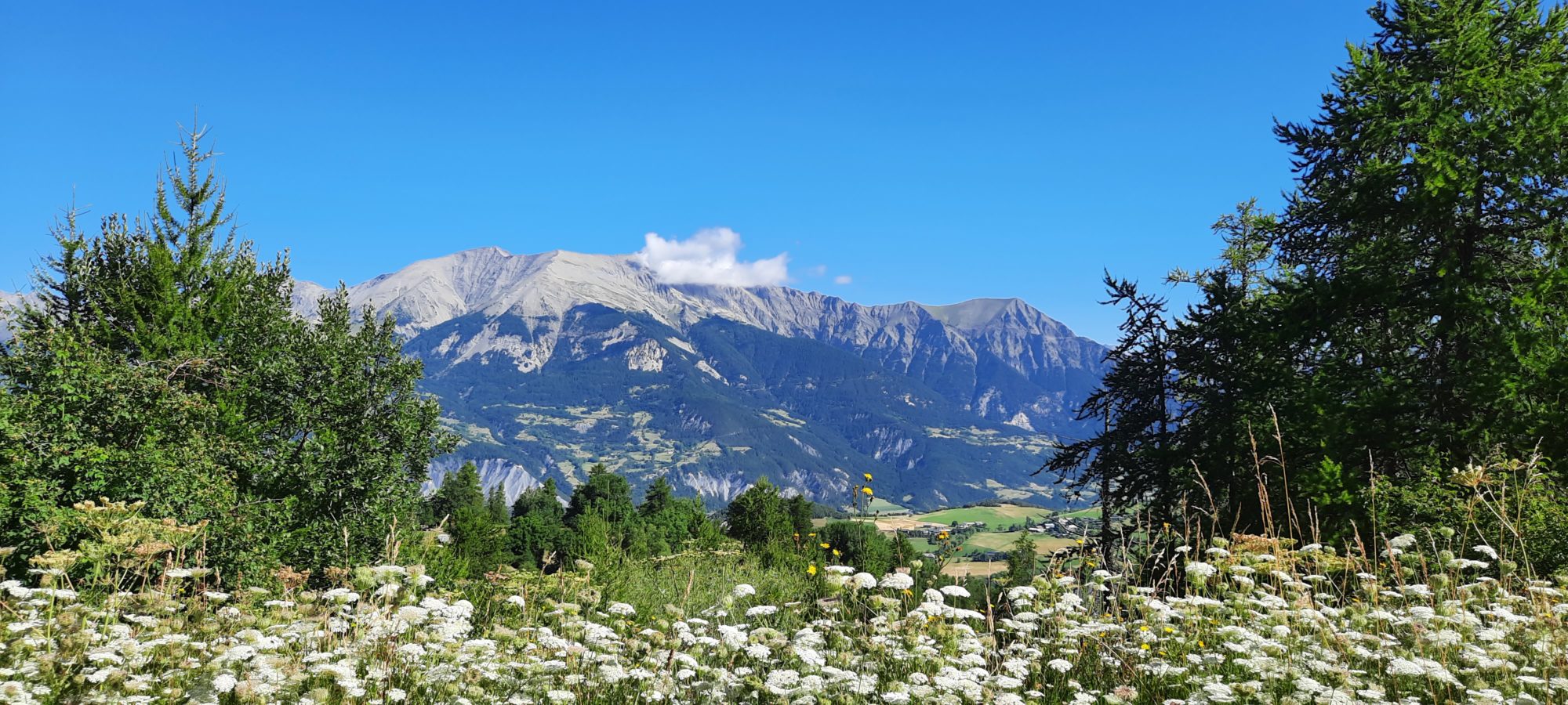 L'été