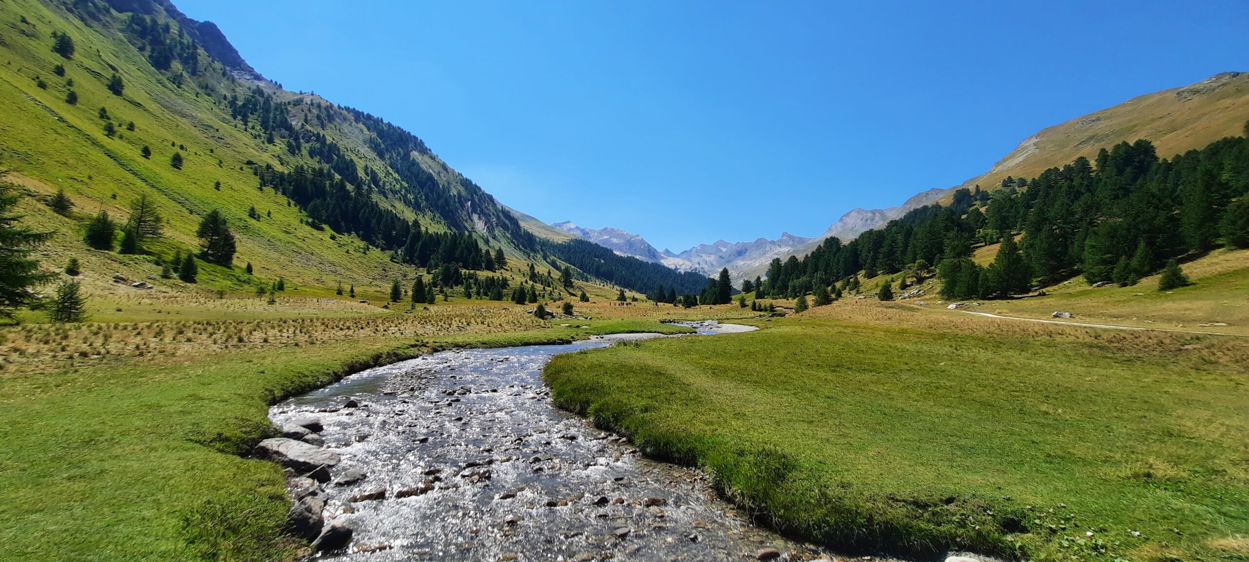 Le Vallon du Lauzanier