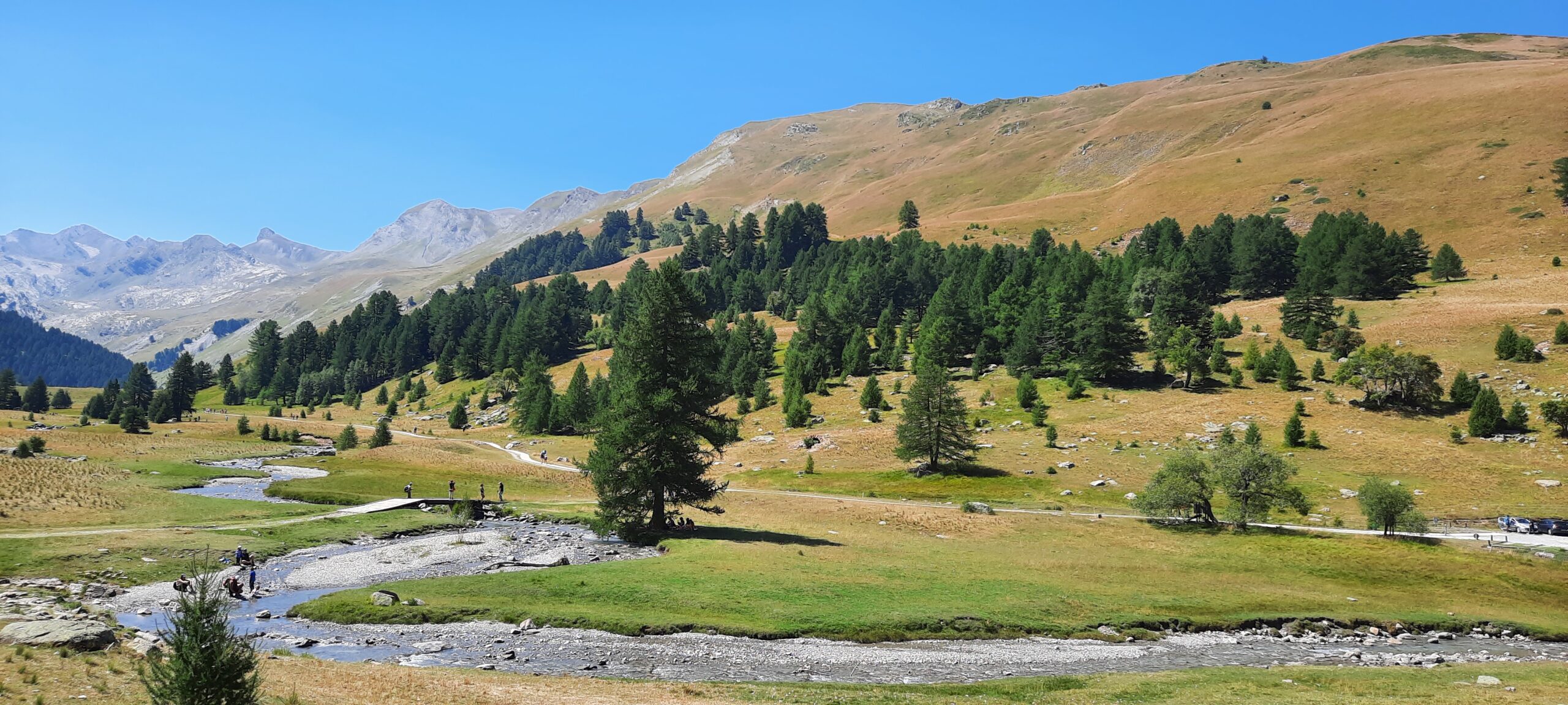 Bienvenue au paradis!