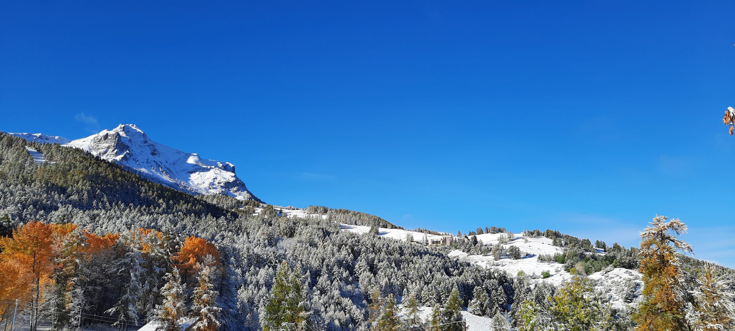 Le mélange des saisons